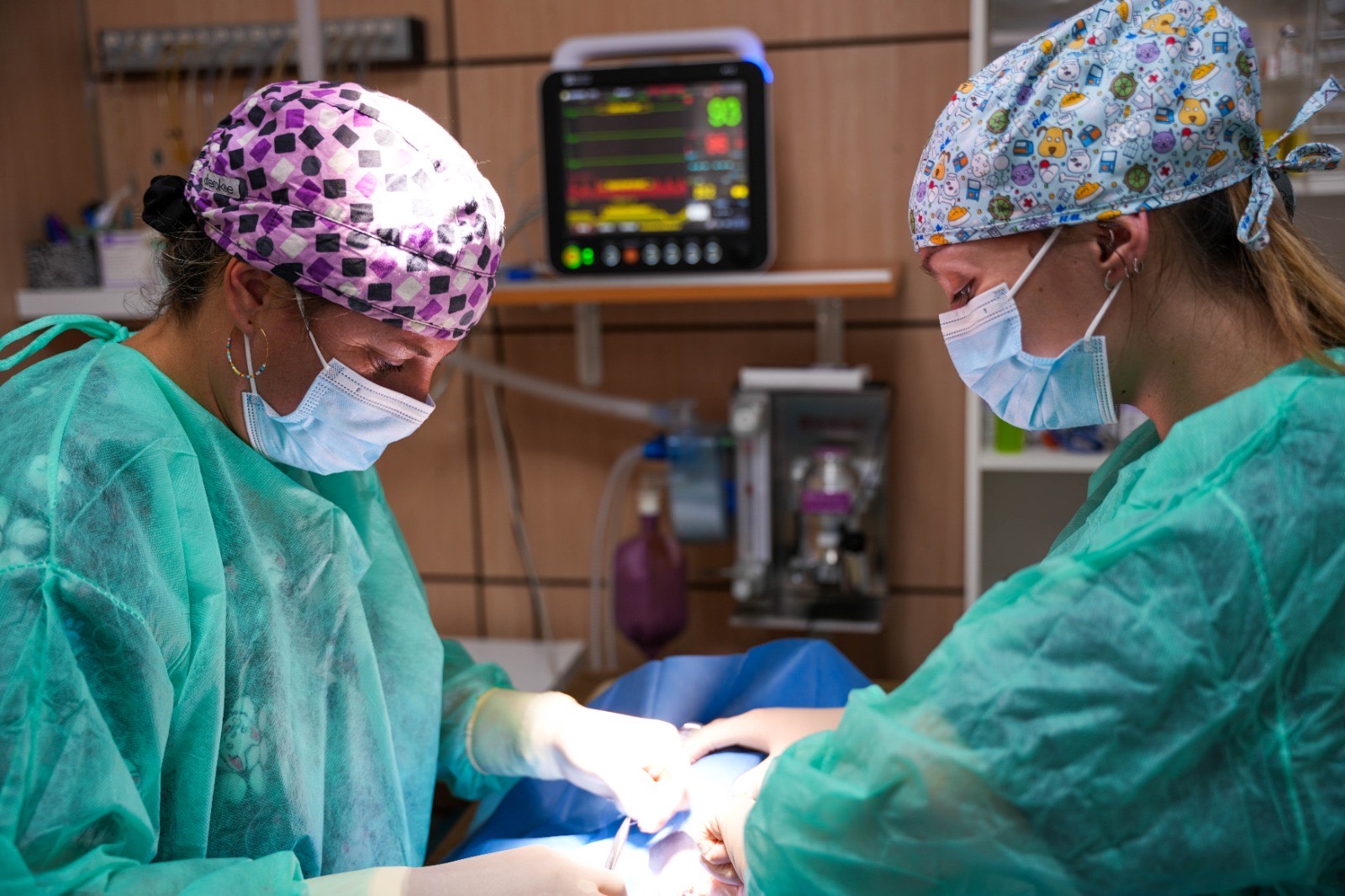 0e02fb931615de3928513d431e72f0c77dc13bdc