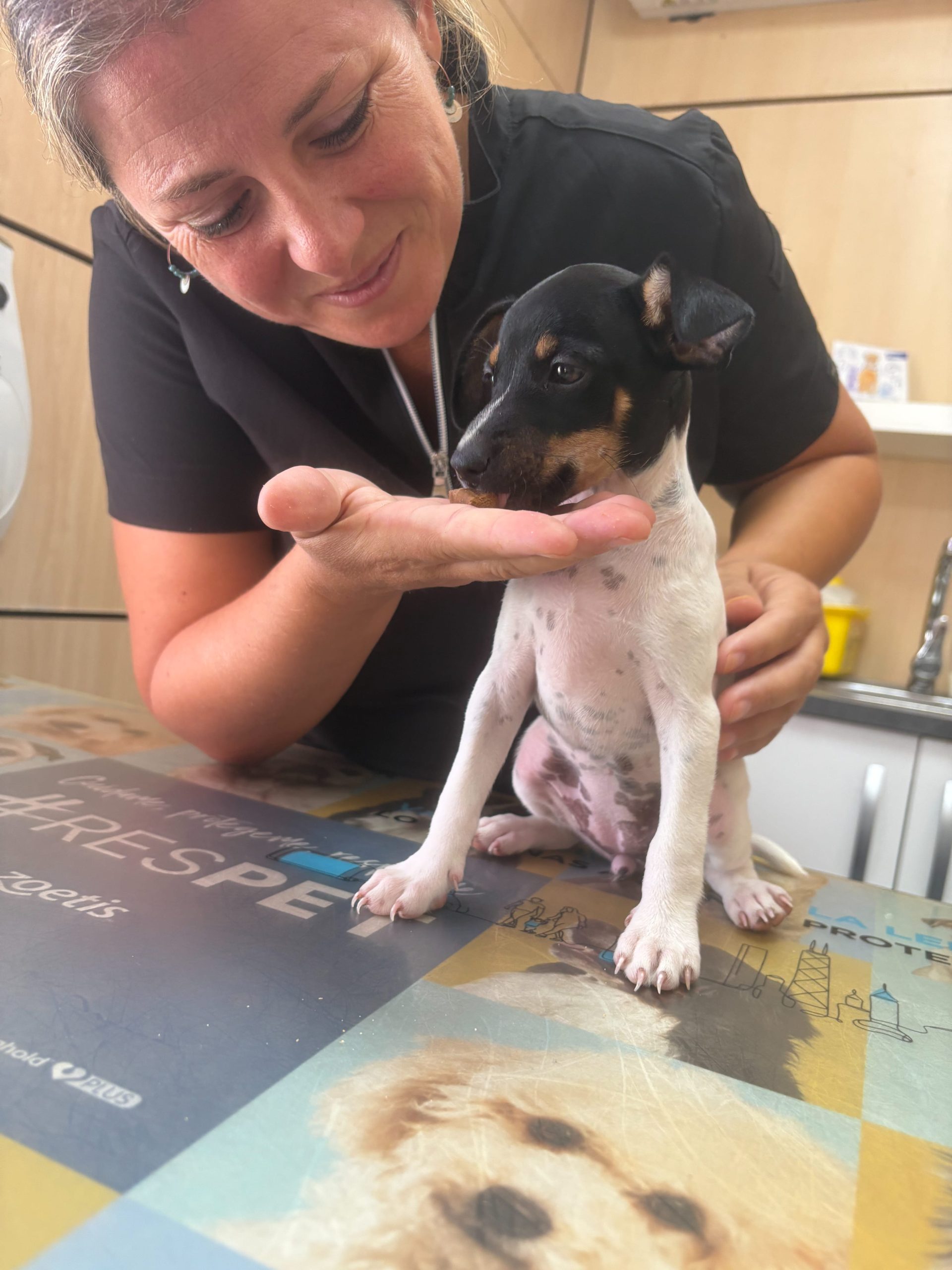 3ea8dae5a4fc5cda35282e308cd9d60d1e3b9609 (1)